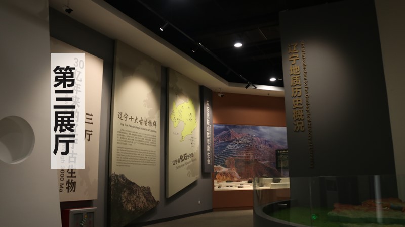 第三展厅&nbsp;30亿年来的辽宁古生...