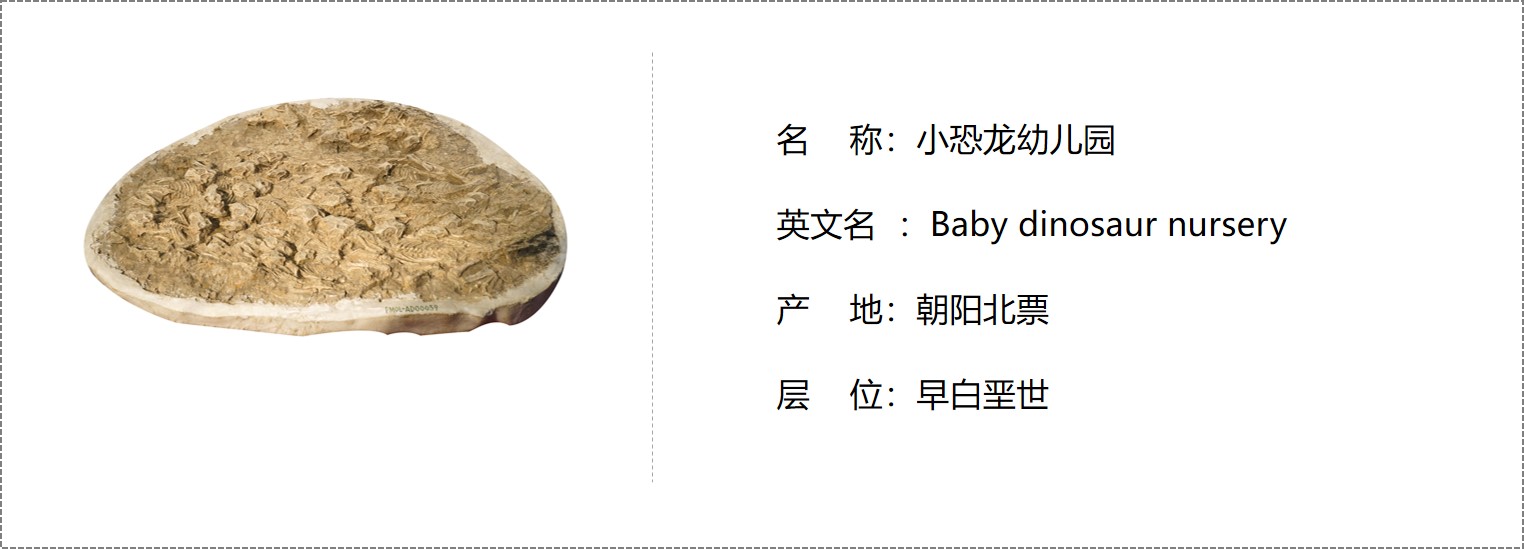 小恐龙幼儿园
