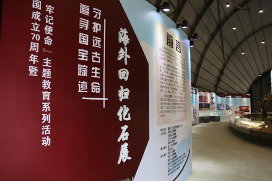 《海外回归化石展》将在辽宁古生...