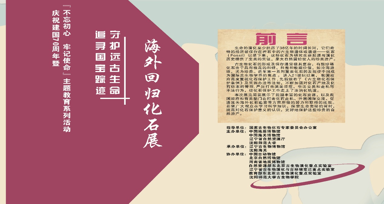 &nbsp;追寻国宝踪迹、守护远古生命—...
