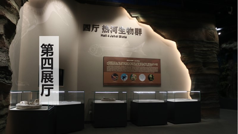 第四展厅&nbsp;热河生物群