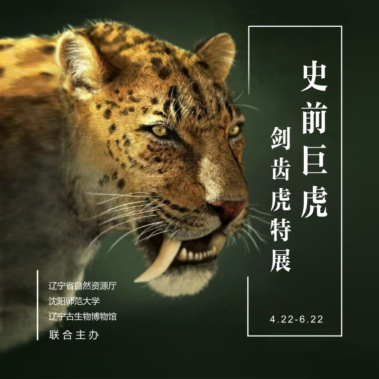 史前巨虎——剑齿虎特展