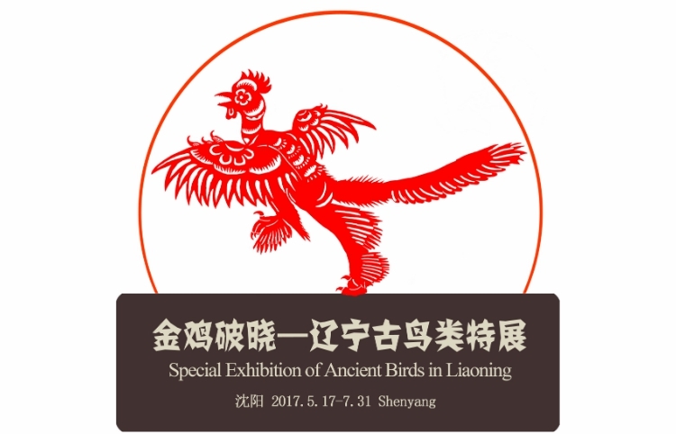 金鸡破晓-辽宁古鸟类特展