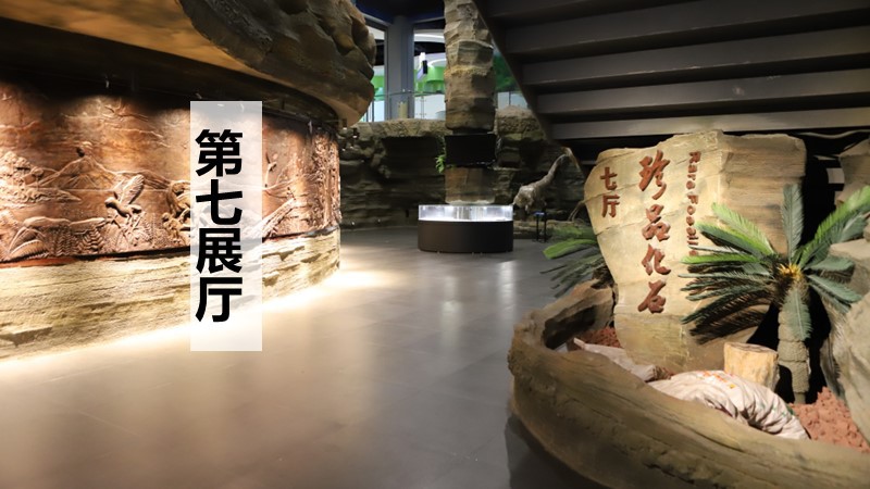 第七展厅&nbsp;珍品化石