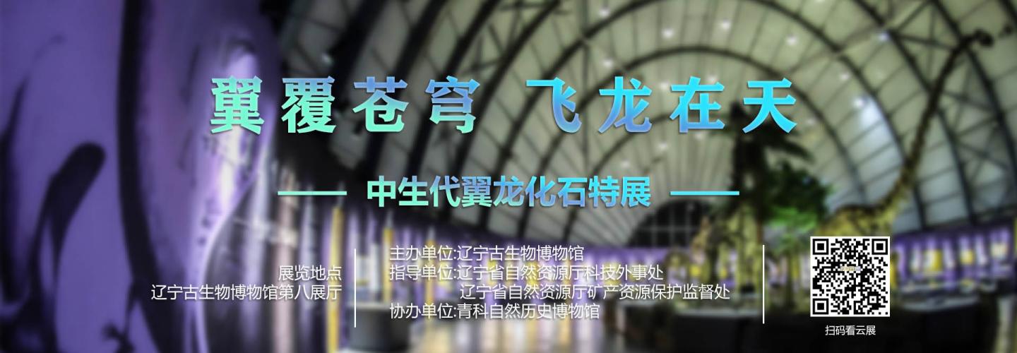 翼覆苍穹 飞龙在天——中生代翼龙化石特展